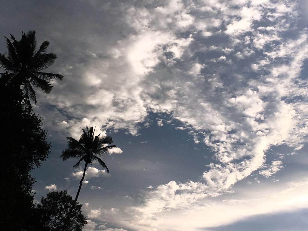 Kandy Citylights Residence Dış mekan fotoğraf